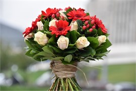Торжество 10072