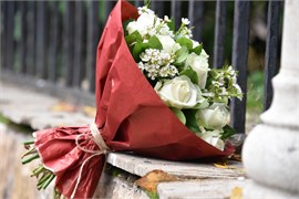 Утро туманное 10077