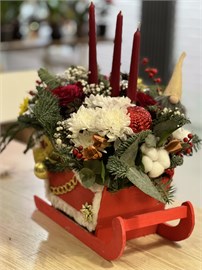 В санках с гномом 10113