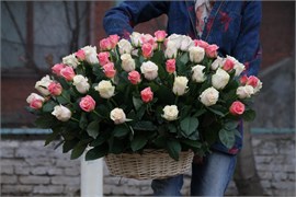 Аргумент 101 10012