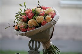 Атмосфера 10013