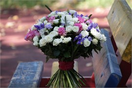 Долгая нежность 10027