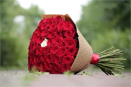Изюминка 10039