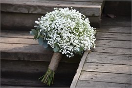 Мы - нежность 10046