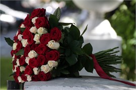 Находчивый 10049