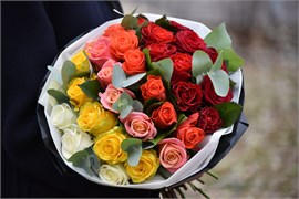 Палитра 10052